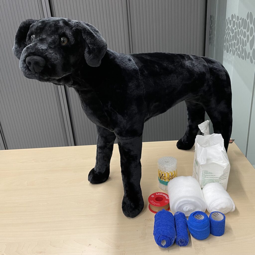 Verbandleer hond