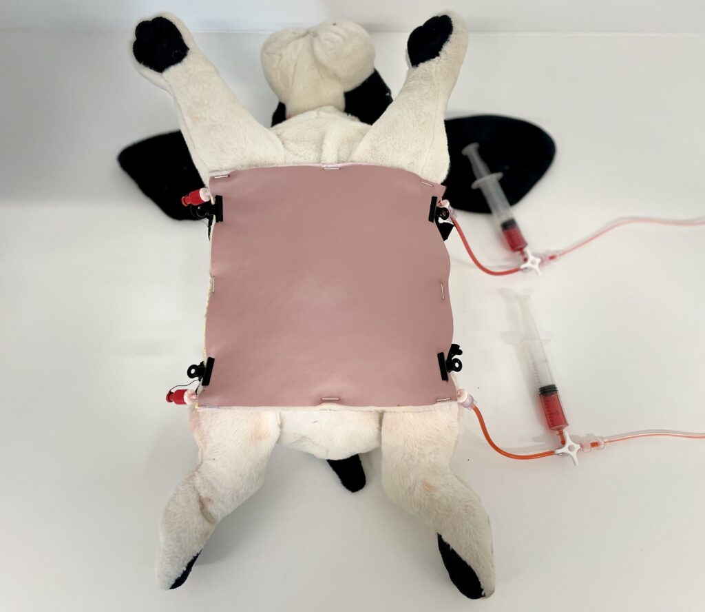 Mastocytoom